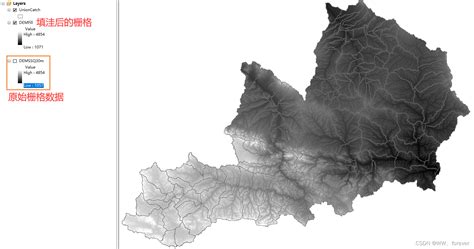 水流方向|【ArcGIS】利用DEM进行水文分析：流向/流量等